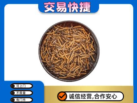 内江东兴区高价回收散虫草